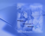 ShadowoWindowall020
