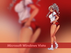 WindowVist1152328340625