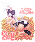 Year of the Rabbit - f63698394024a526f5a4e40bfe3cbc69